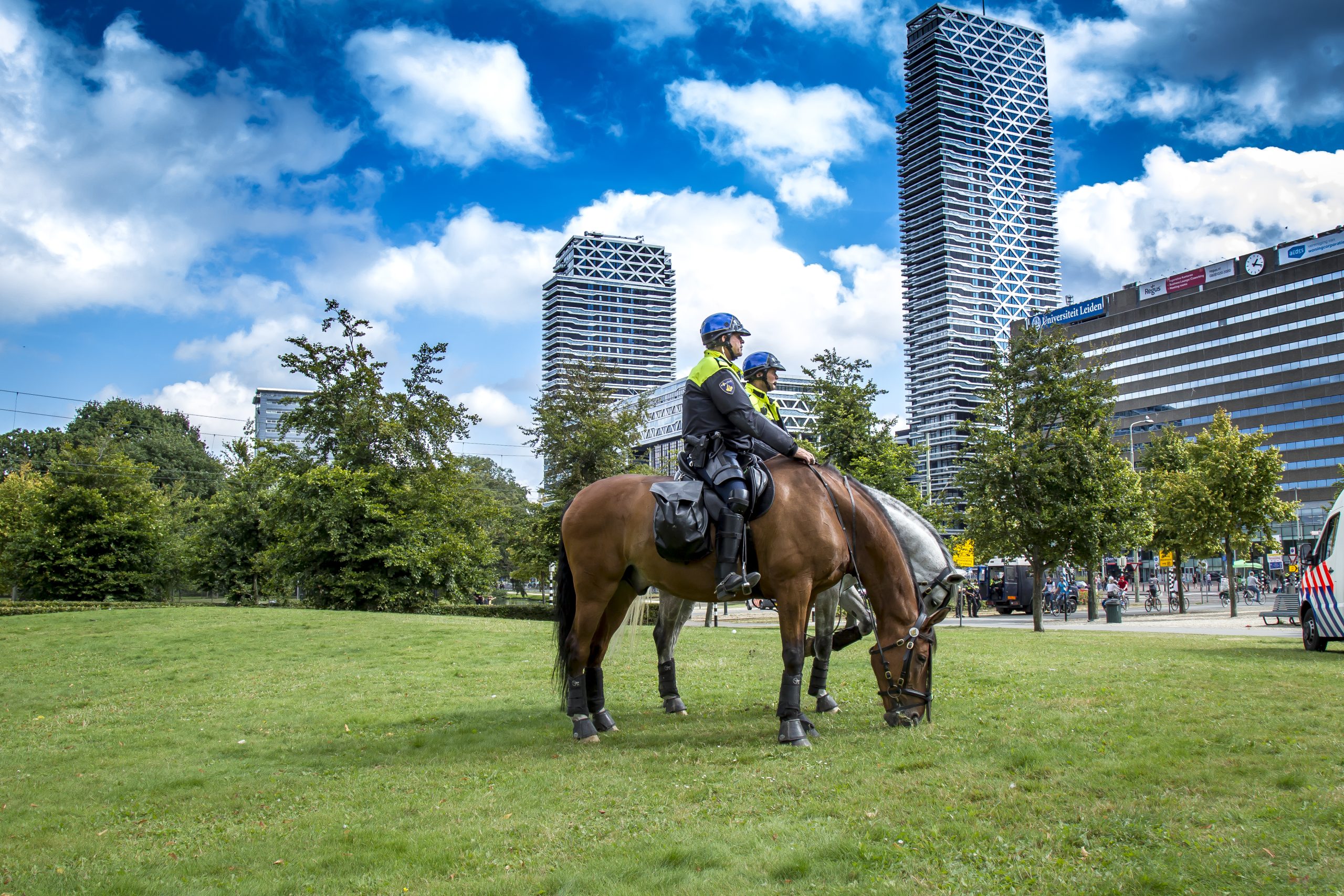 Den Haag