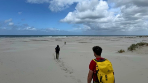 wandelen ptss